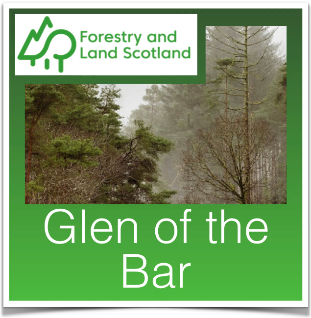 Glen of the Bar