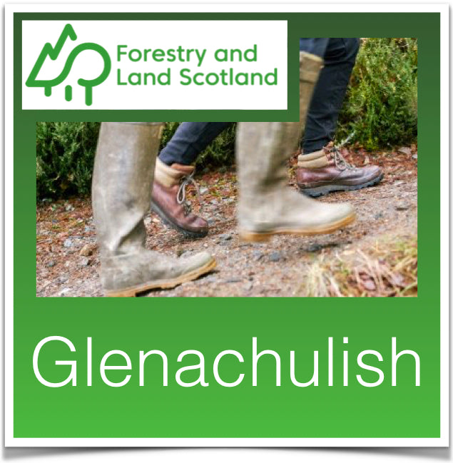 Glenachulish