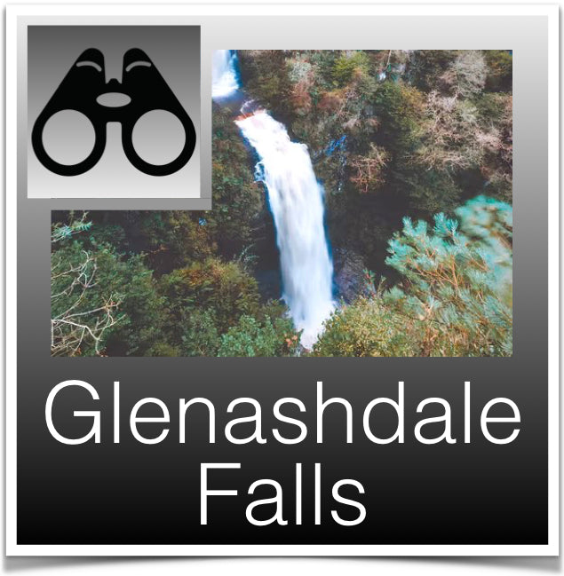 Glenashdale Falls