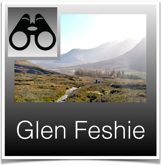 Glen Feshie