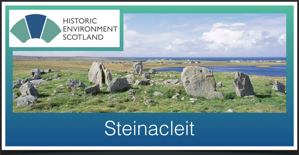 Steinacleit