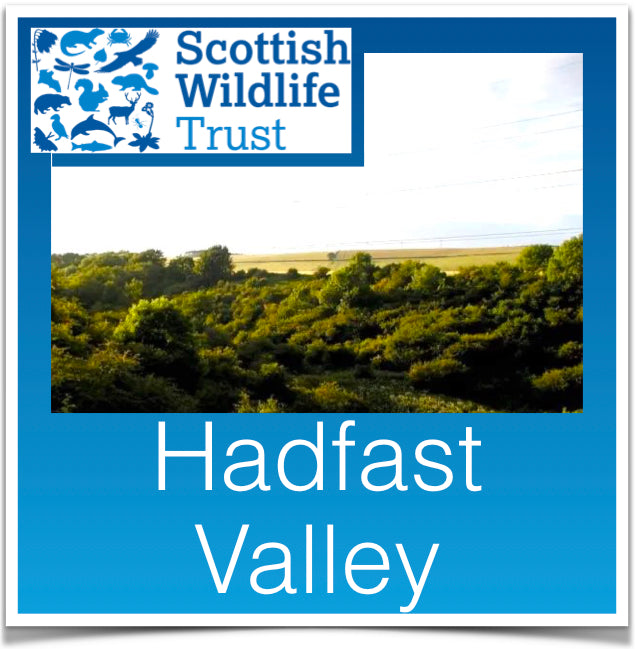 Hadfast Valley