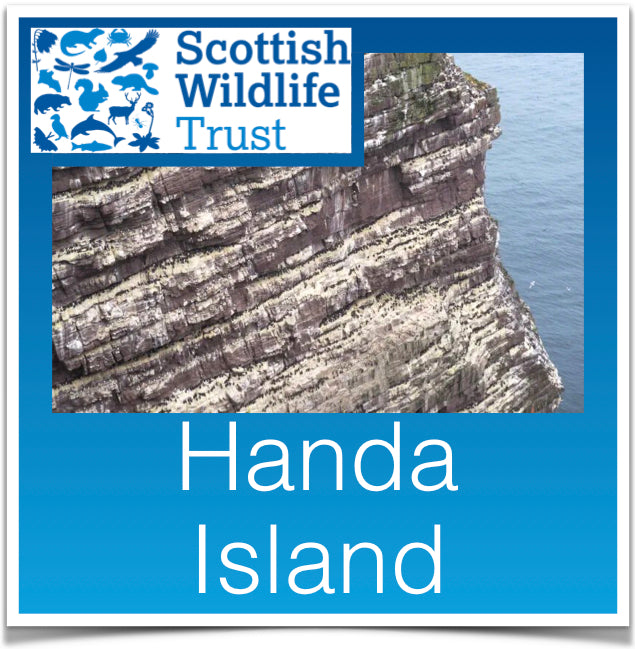 Handa Island