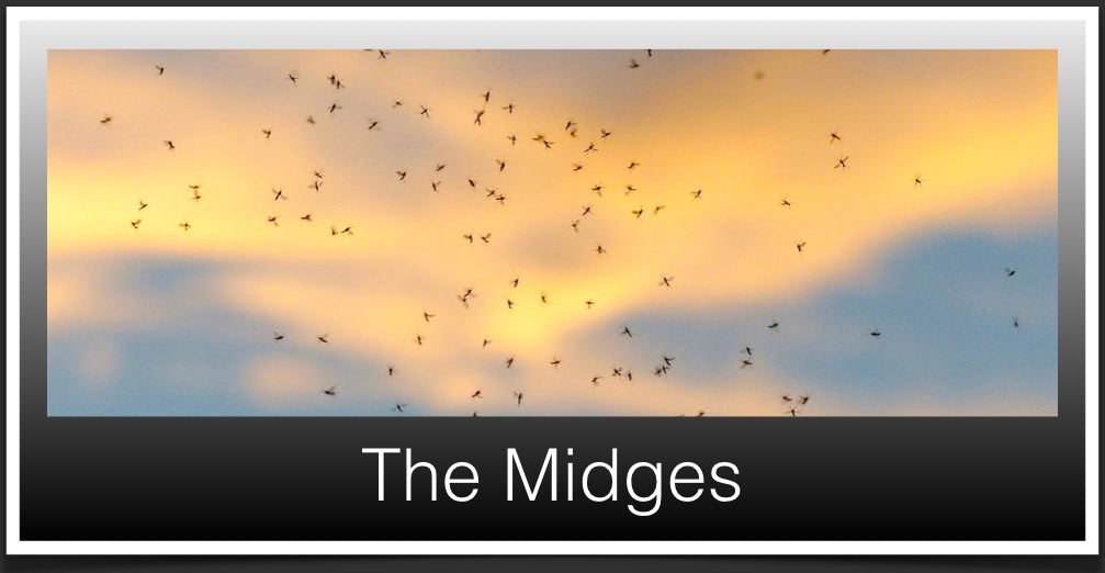 Midges in Scotland