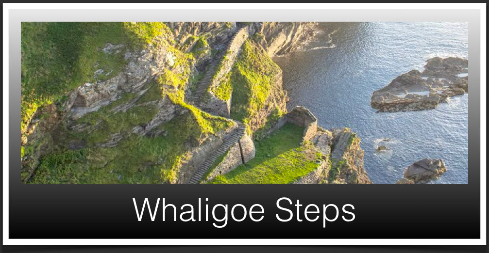 Whaligoe Steps