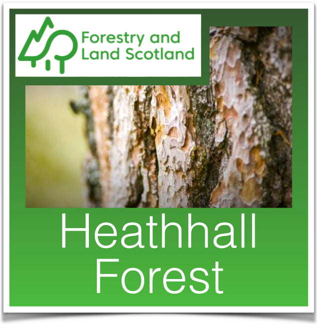 Heathhall Forest