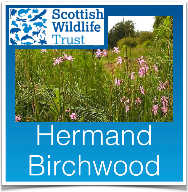 Hermand Birchwood