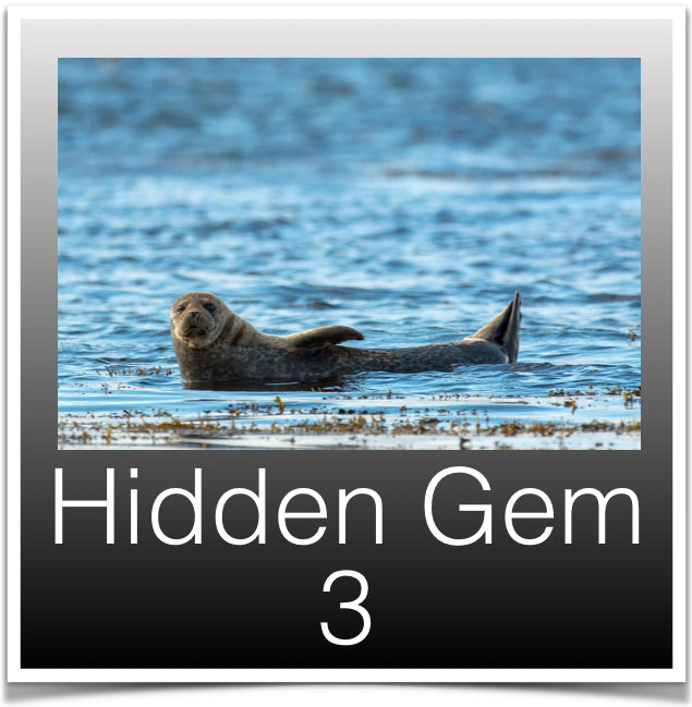 Hidden Gems 3