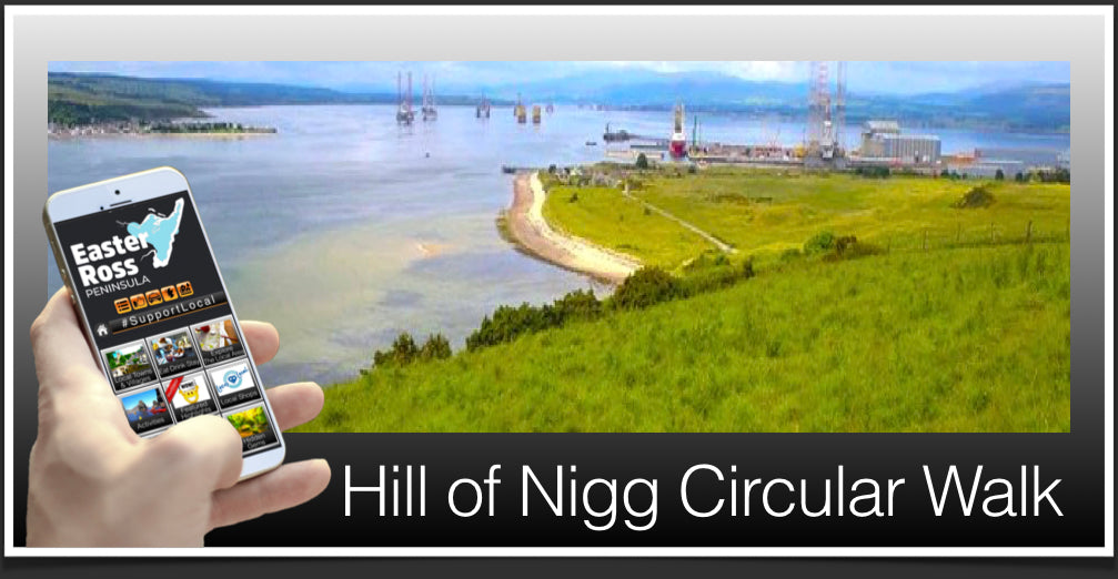 Hill of Nigg Walk Header