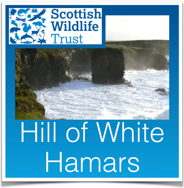 Hill of White Hamars Image