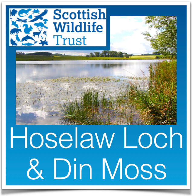 Hoselaw Loch
