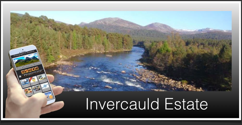 Invercauld Estate