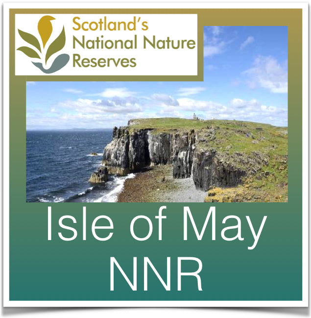 Isle of May Image
