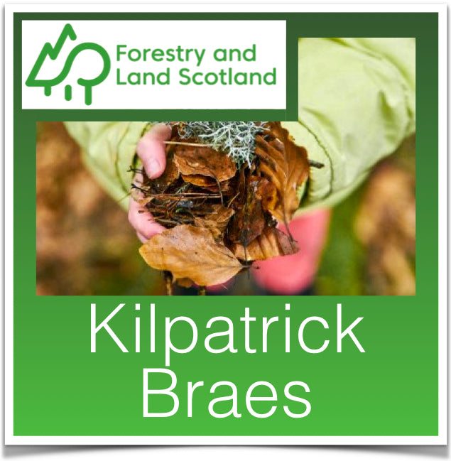 Kilpatrick Braes