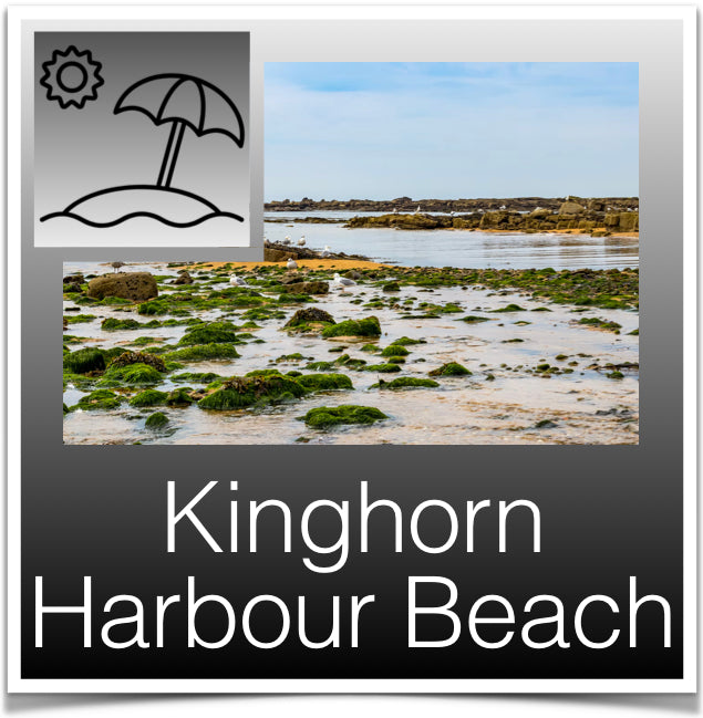 Kinghorn Harbour Beach