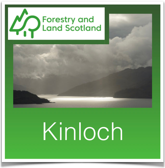 Kinloch