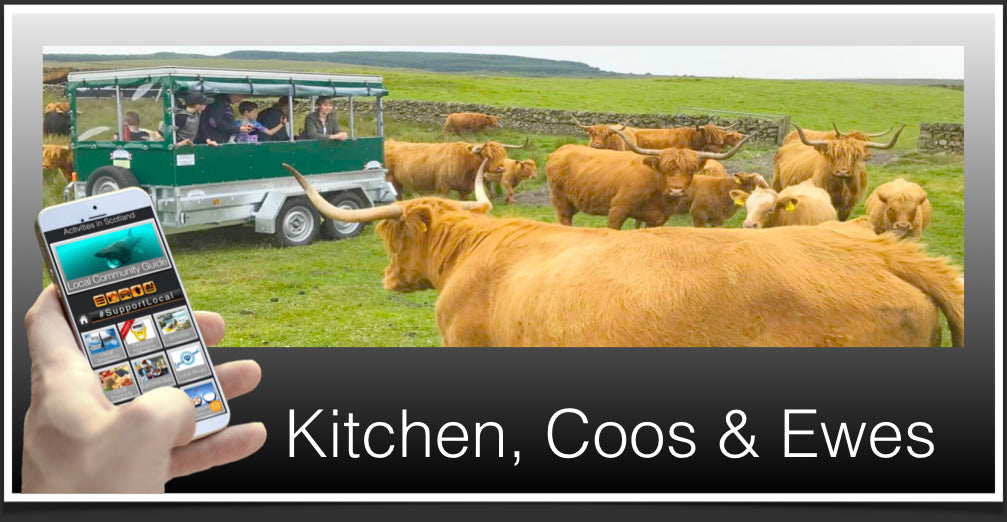 Kitchen Coos and Ewes Header