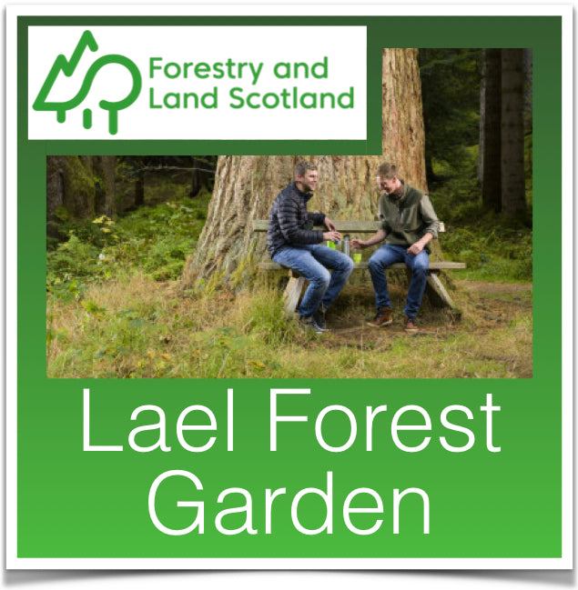 Lael Forest Garden