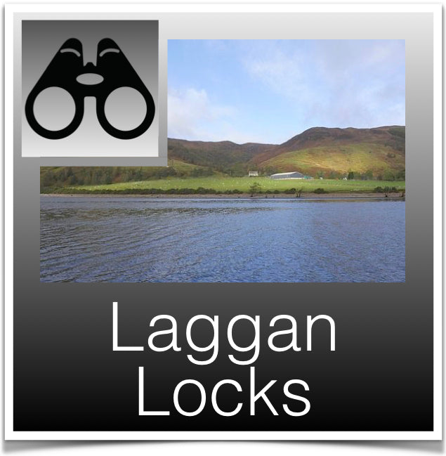 Laggan Locks