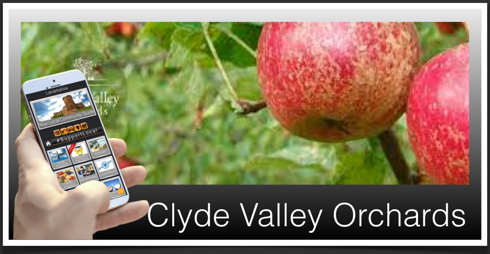 Clyde Valley Orchards Header image