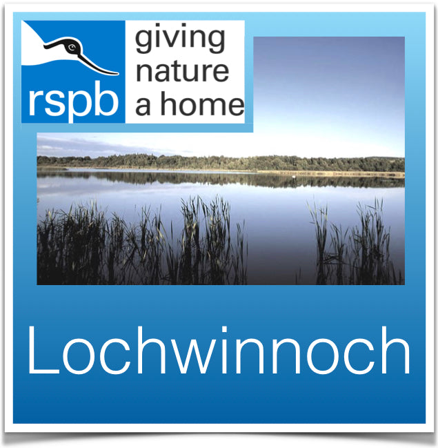 Lochwinnoch Image