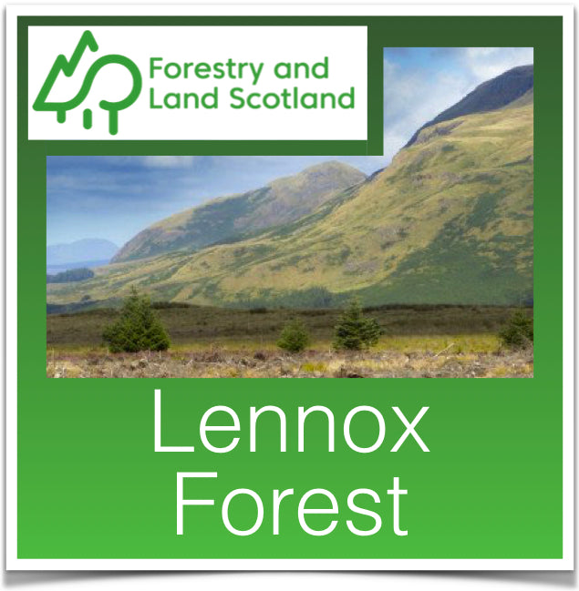 Lennox Forest