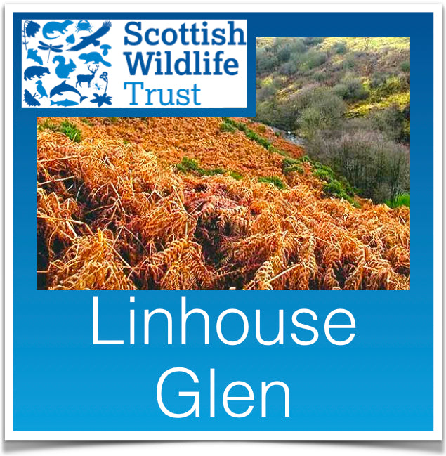 Linhouse Glen