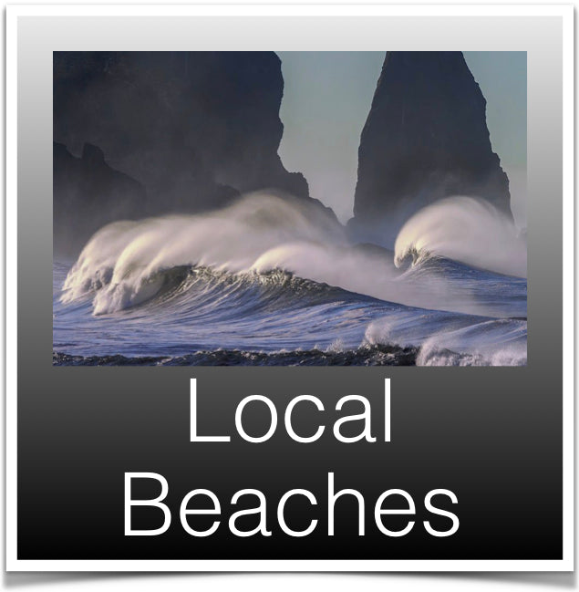 Local Beaches