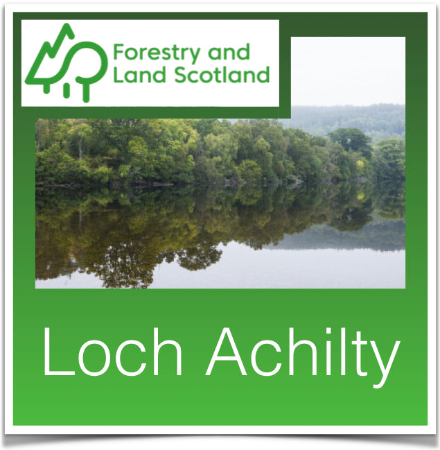 Loch Achilty