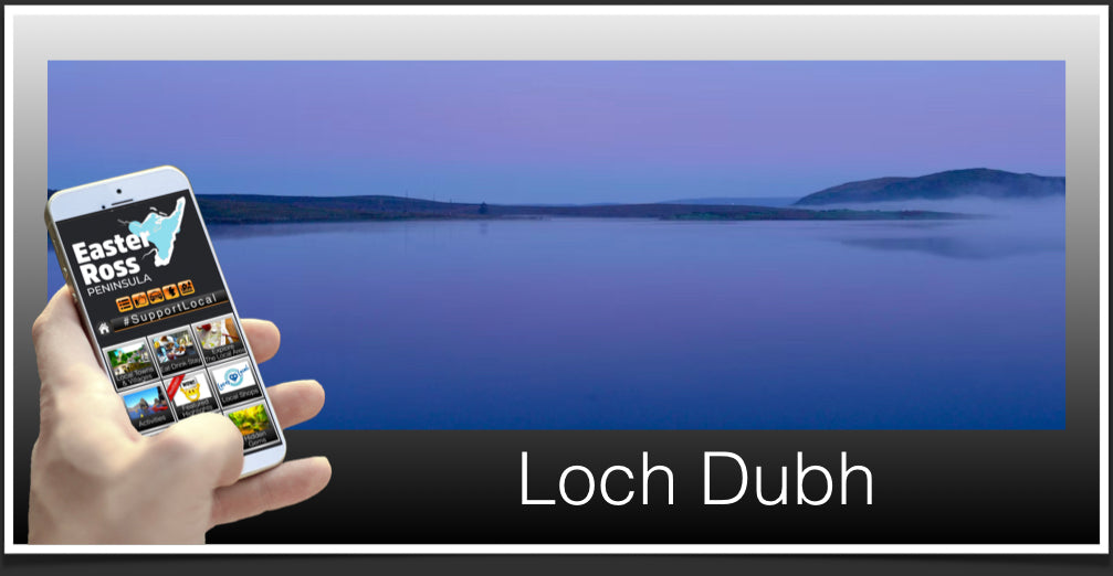 Loch Dubh image