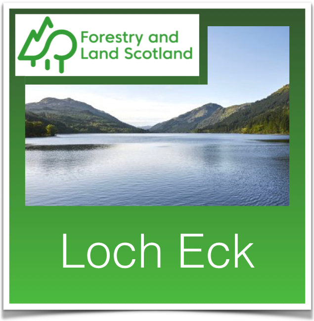 Loch Eck