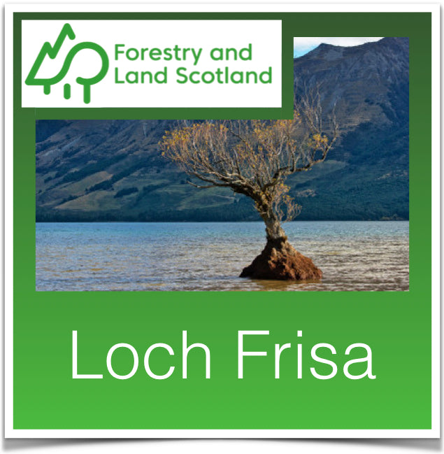 Loch Frisa