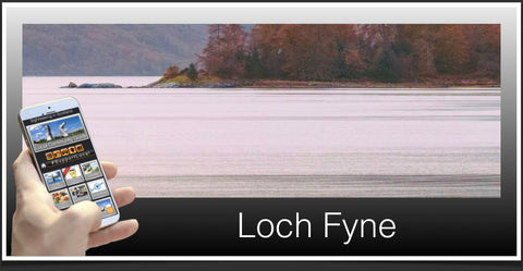 Loch Fyne image