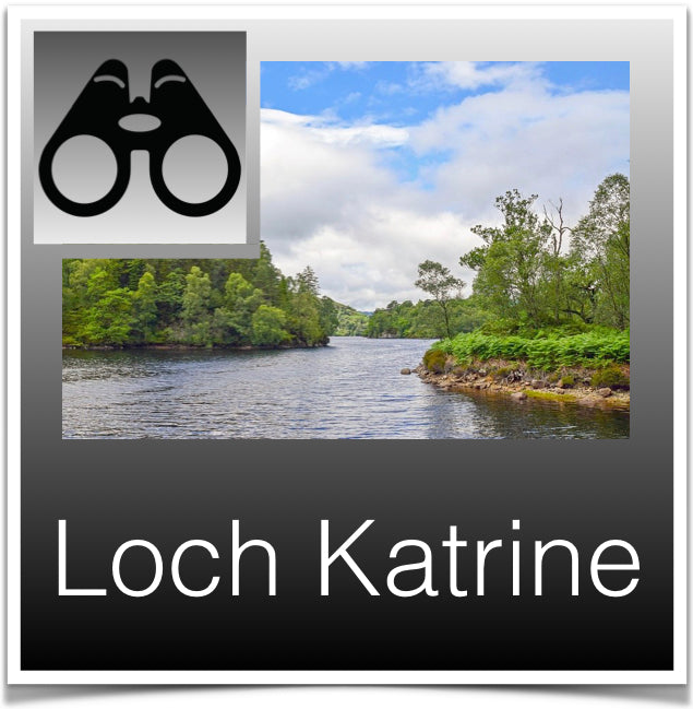 Loch Katrine Image