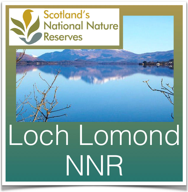 Loch Lomond National Park