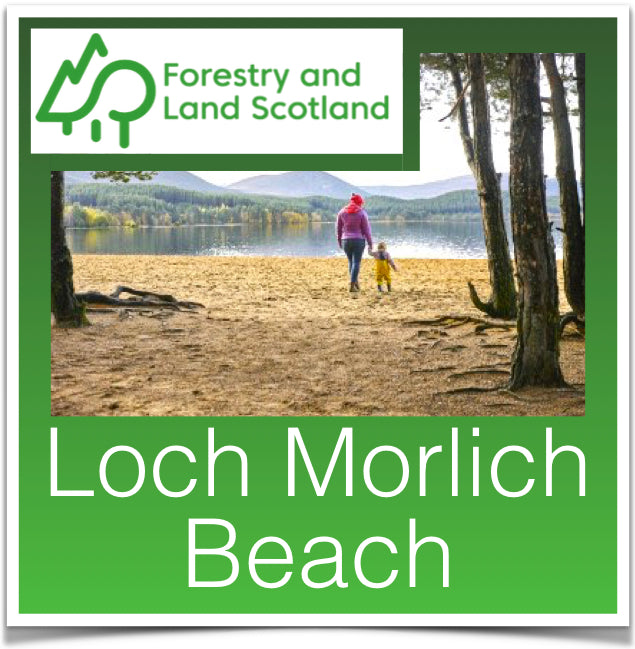 Loch Morlich Beach