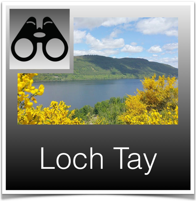 Loch Tay