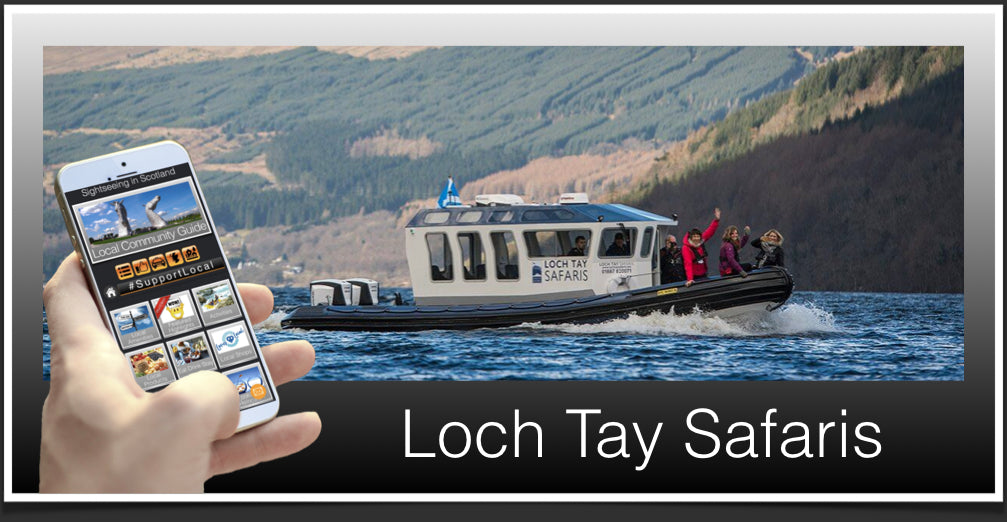 Loch Tay Safaris image