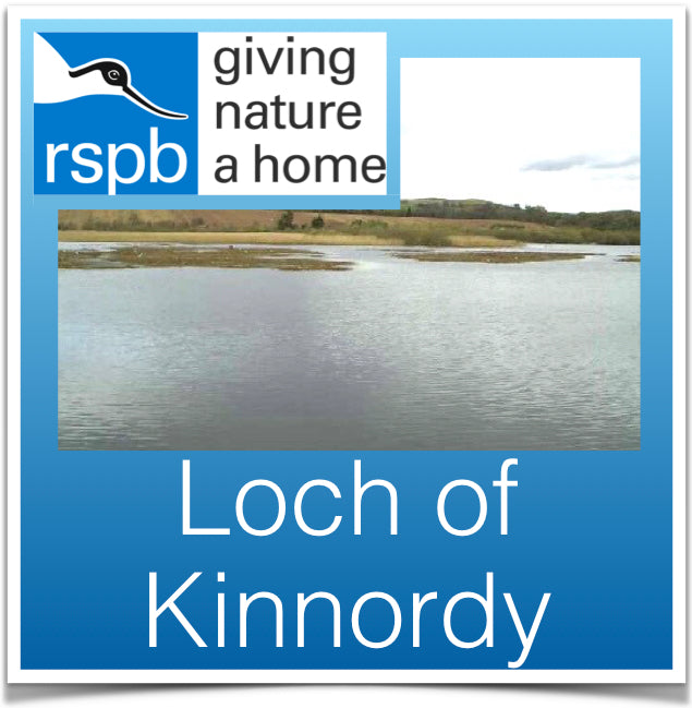 Loch of Kinnordy