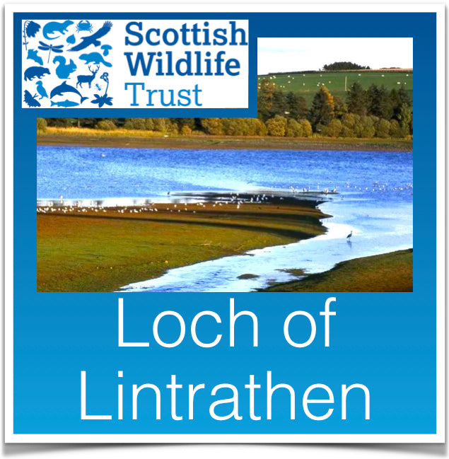Loch of Lintrathen