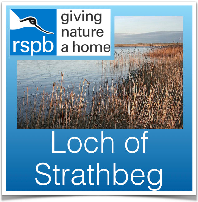 Loch of Strathbeg Image