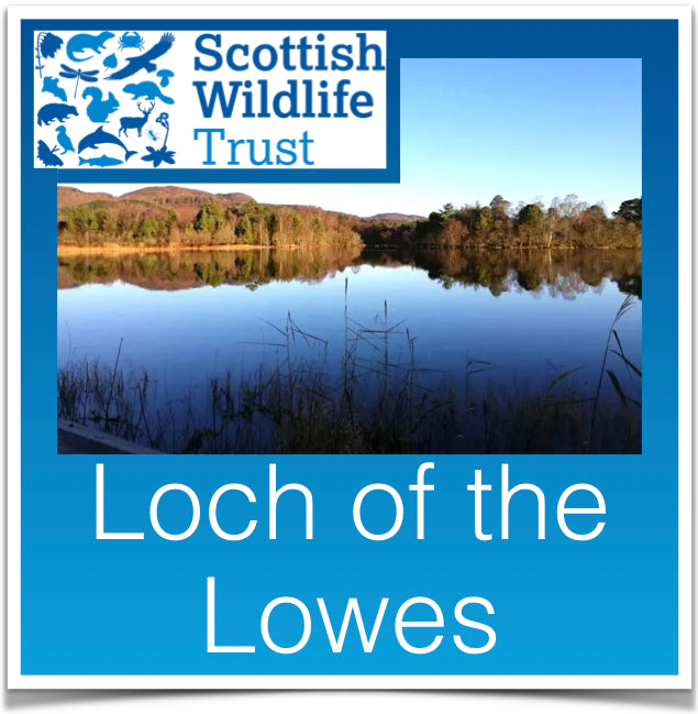 Loch of the Lowes