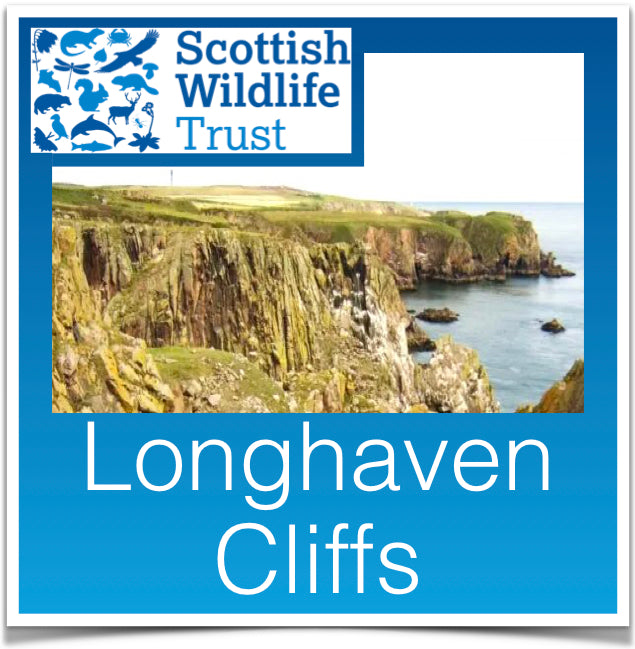 Longhaven Cliffs