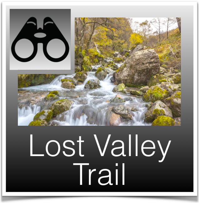 Lost Valley Trail