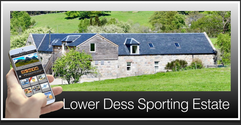 Lower Dess Sporting Estate