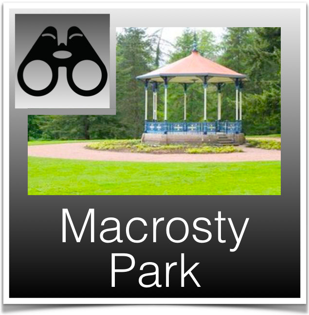 Macrosty Park