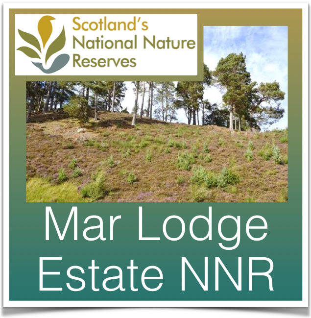 Mar lodge estate