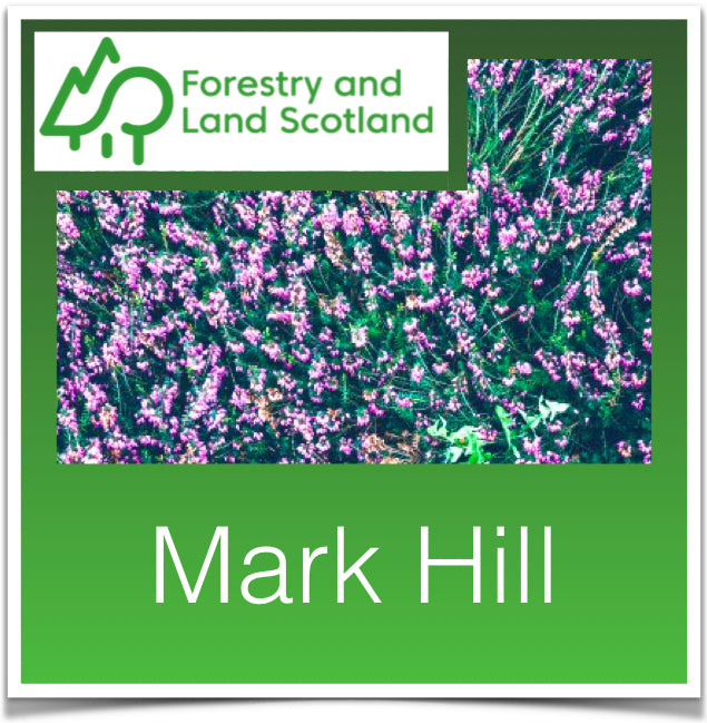 Mark Hill