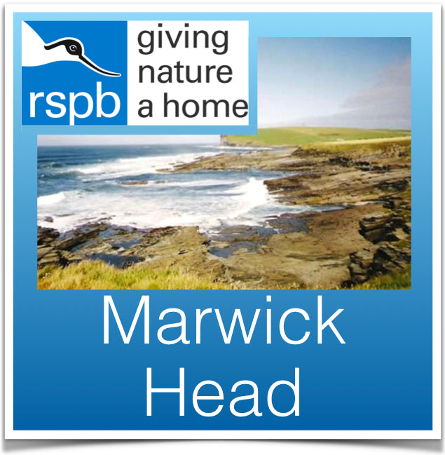 Marwick Head