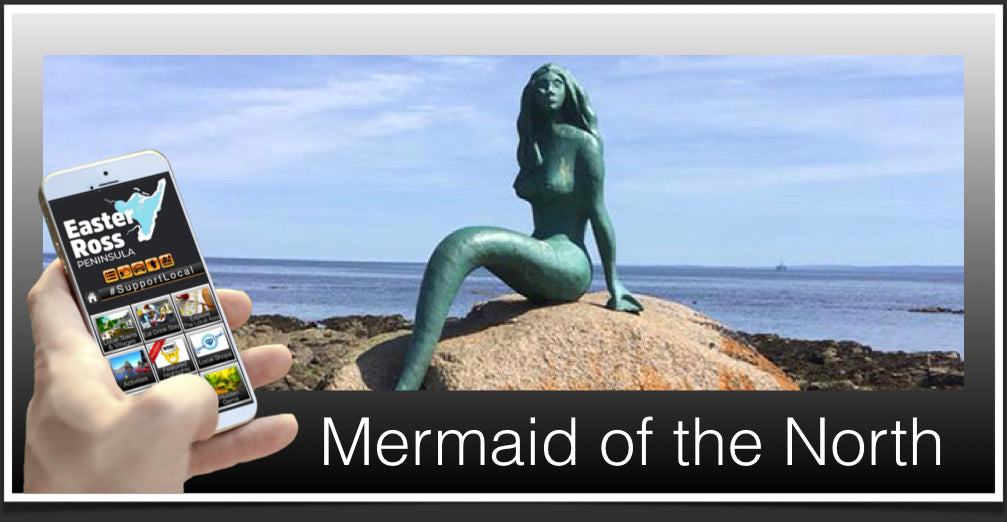 Mermaid of the North Header image